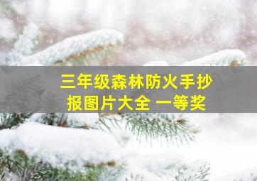 三年级森林防火手抄报图片大全 一等奖